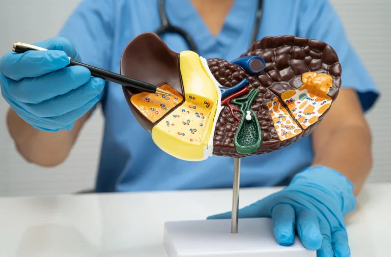 Mediķis zilā tērpā ar rakstāmrīku rāda uz aknu un žultspūšļa anatomisko modeli šķērsgriezumā.