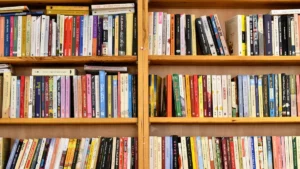 Krāsainu grāmatu rinda koka plauktos, kas simbolizē jauno un moderno bērnu bibliotēkas vidi.