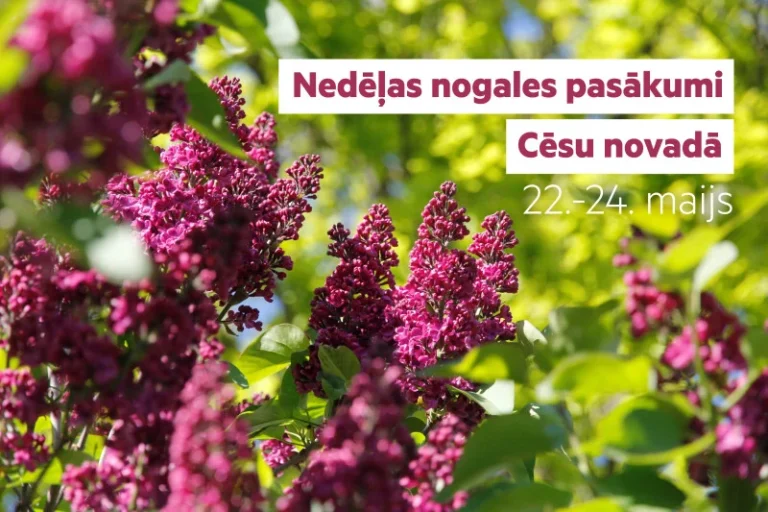 Mākslas pērles un Muzeju nakts: kurp doties Cēsu novadā šajās brīvdienās