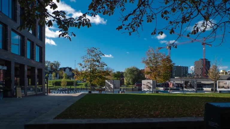 Moderna pilsētas ēka un parks ar zaļojošu zālienu un kokiem zem zilas debess.