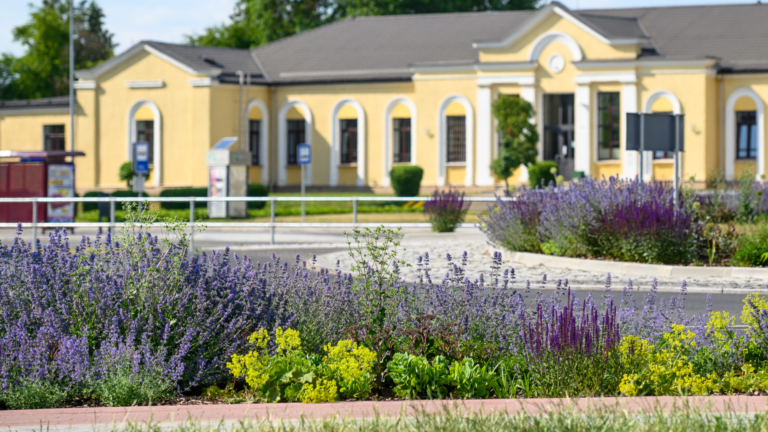 Ziedošas violetas un dzeltenas puķes priekšplānā pie dzeltenas klasiskā stila ēkas ar baltām logu arkām.