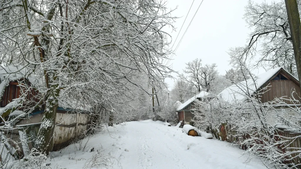 Sniegots lauku ceļš starp koka mājām un apsnigušiem kokiem Ventspils novadā ziemas periodā.