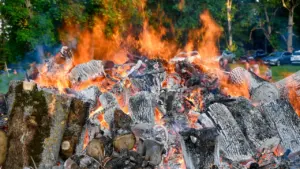 Ludzā vēl var pieteikties “Līdzdalības ugunskuram”