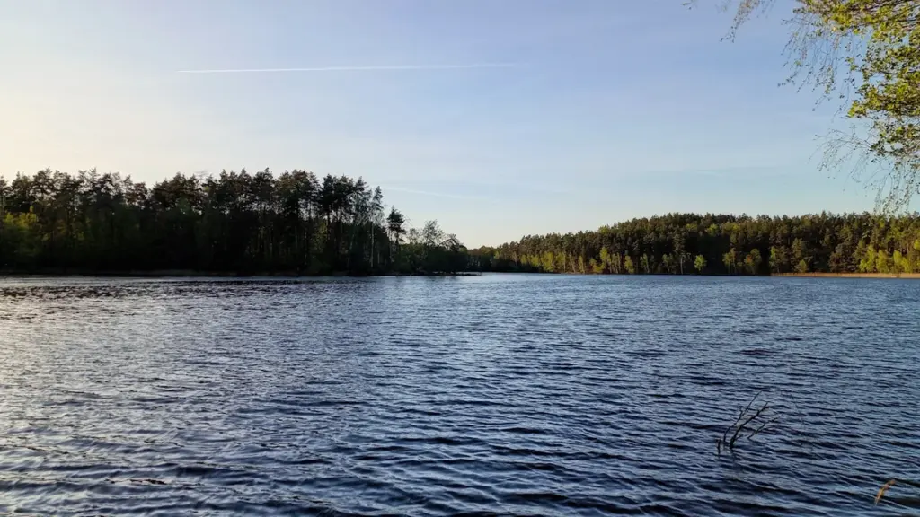 Klusa un mierīga Tiltlejas ezera ainava ar mežu un debesīm fonā.