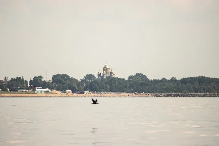Summer Sound Liepājā: 1. augustā bez maksas līdz 16.00: kas jāzina iedzīvotājiem