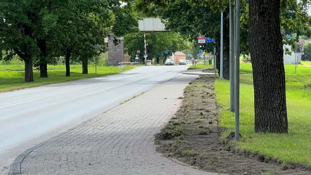 Zila ceļa zīme ar gājēju un velosipēdistu simboliem uz ielas malas pie koka.