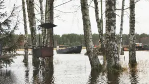 Plūdu skarta teritorija ar koku puduri un koka laivu pēc vētras Rīgā