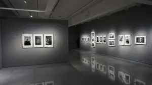 Mākslas izstāde ar fotogrāfijām pie sienām gaišā un modernā izstāžu zālē.
